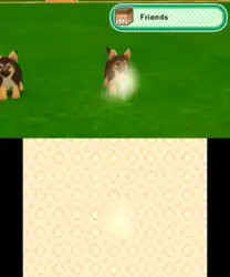 Image n° 1 - screenshots : Puppies World 3D